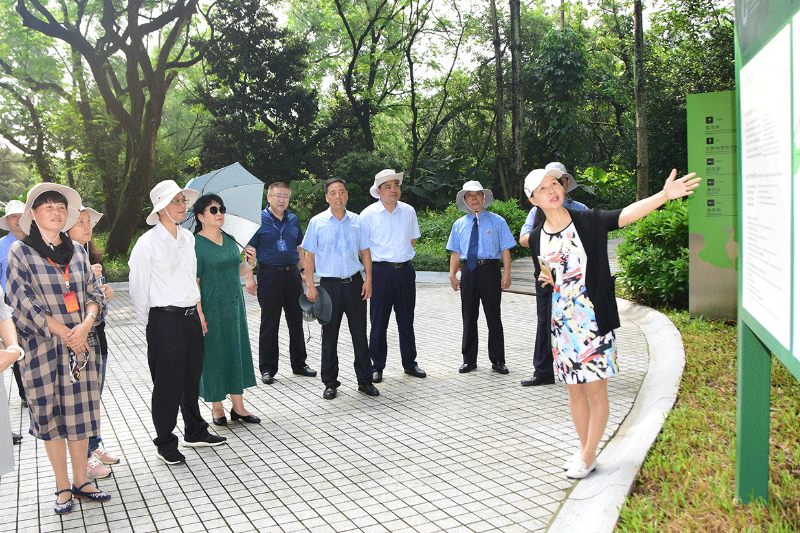 全国人大代表团视察福田国家级自然保护区 生态保护联盟建立情况