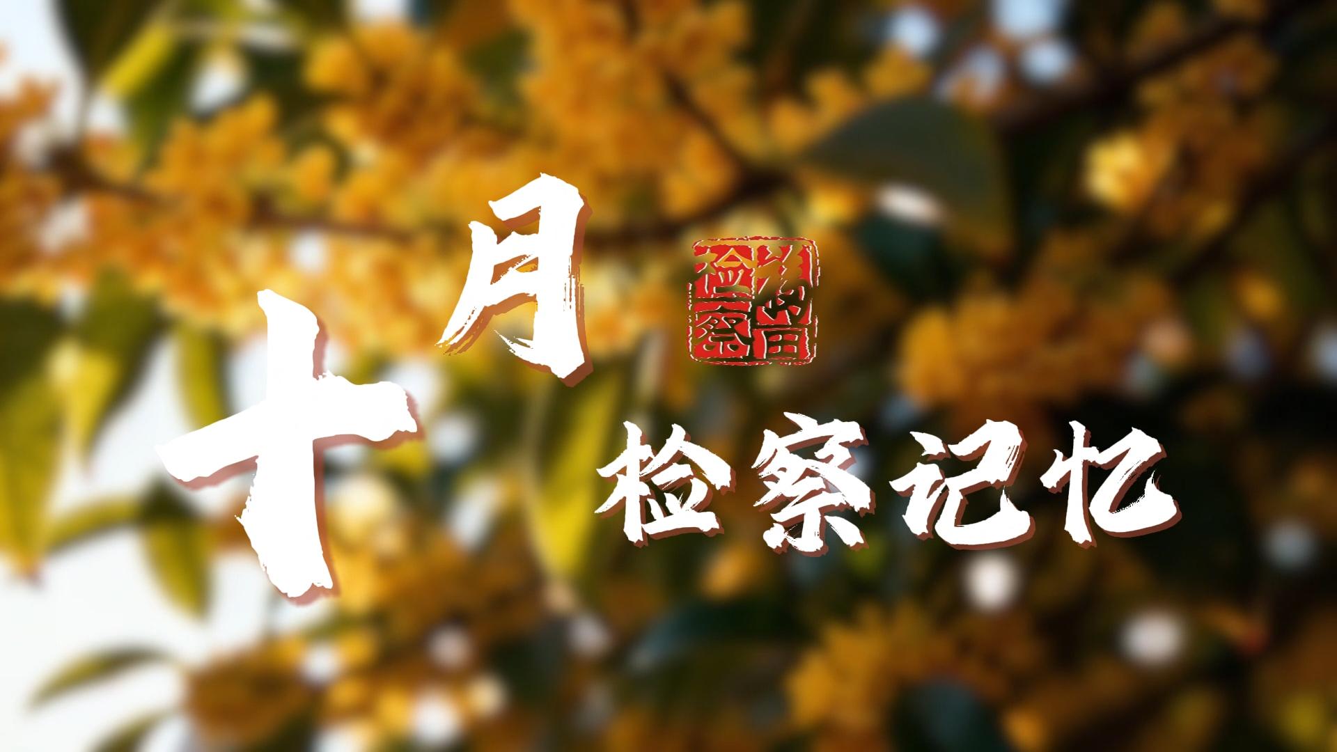 福田区人民检察院十月工作动态