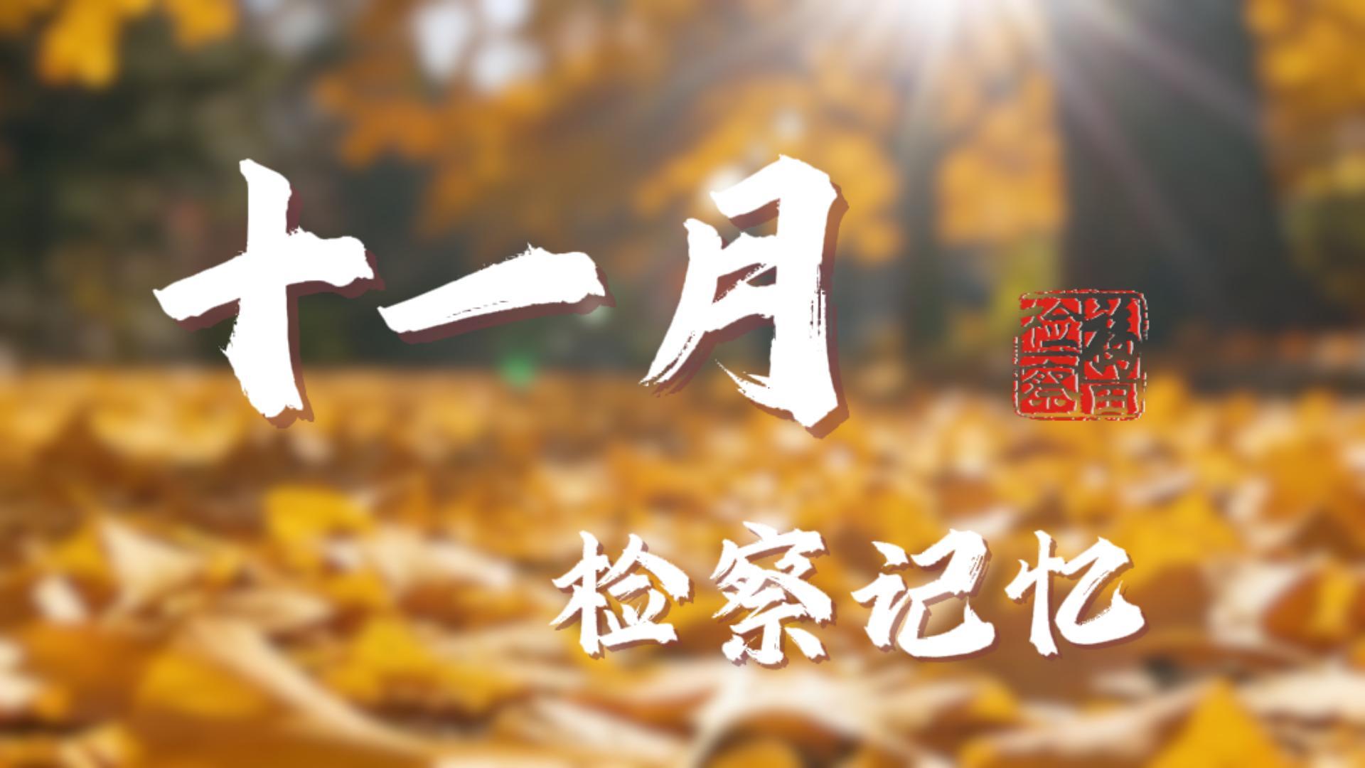 福田区人民检察院十一月工作动态